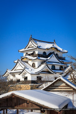 彦根城天守と雪｜高解像度画像サイズ：5778 x 8668 pixels｜写真番号：5DSA3720｜撮影：Canon EOS 5DS