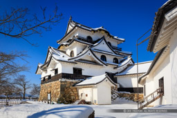 彦根城天守と雪｜高解像度画像サイズ：8149 x 5433 pixels｜写真番号：5DSA3735｜撮影：Canon EOS 5DS