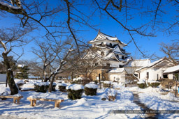 雪の彦根城天守｜高解像度画像サイズ：8489 x 5659 pixels｜写真番号：5DSA3781｜撮影：Canon EOS 5DS