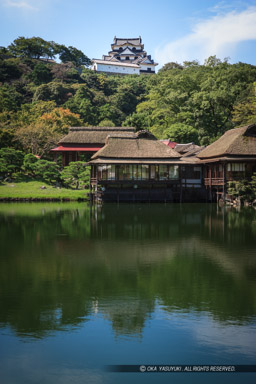 玄宮園から彦根城天守を望む：夏｜高解像度画像サイズ：3328 x 4992 pixels｜写真番号：VJ7Z6923｜撮影：Canon EOS-1Ds Mark II