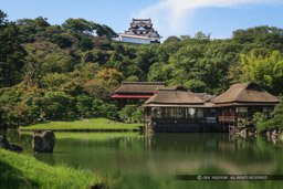 玄宮園から彦根城天守を望む：夏｜高解像度画像サイズ：4927 x 3285 pixels｜写真番号：VJ7Z6931｜撮影：Canon EOS-1Ds Mark II