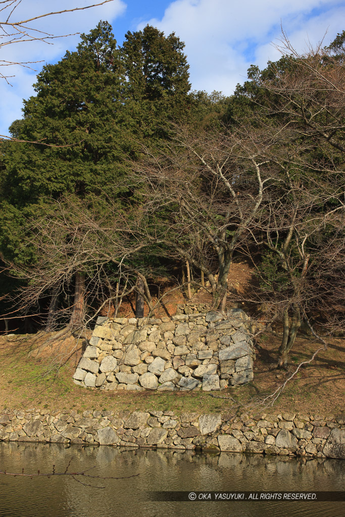 彦根城登り石垣