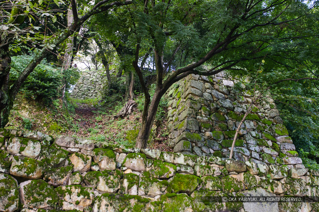 彦根城登り石垣と竪堀・鐘の丸