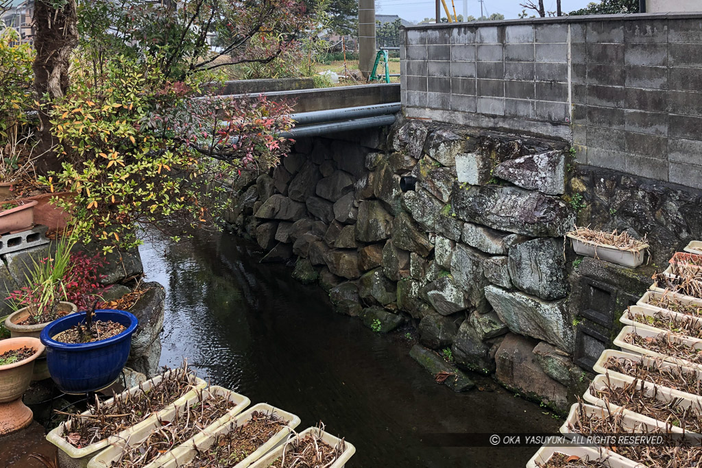 彦根城の外堀跡