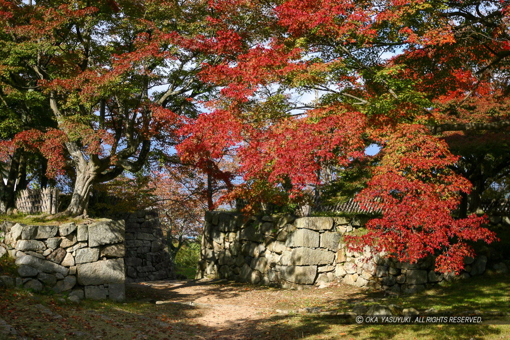 彦根城西の丸の枡形虎口・紅葉