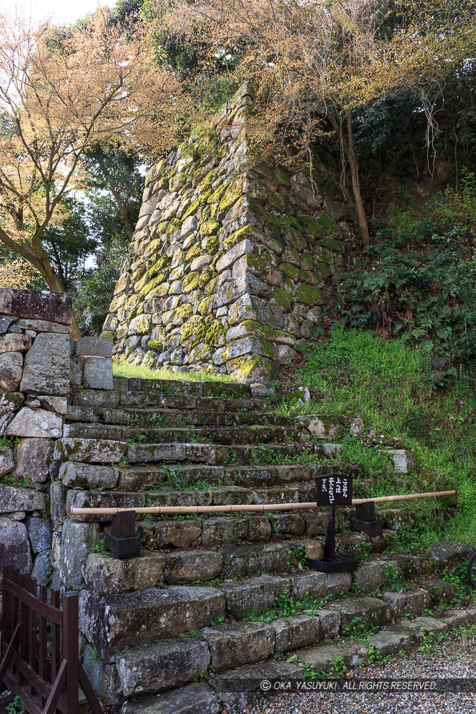 彦根城登り石垣と竪堀・鐘の丸