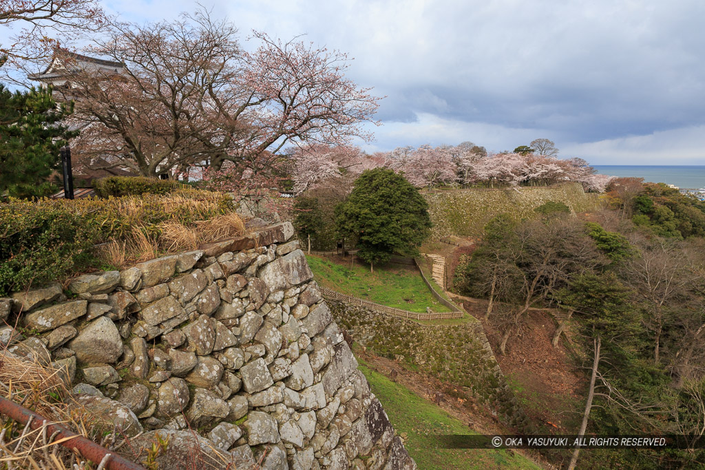 彦根城月見櫓跡から琵琶湖を望む
