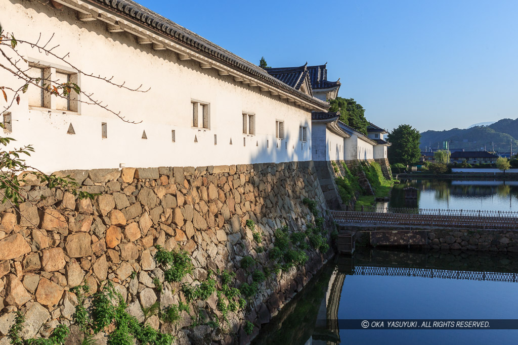 彦根城佐和口多聞櫓・夏