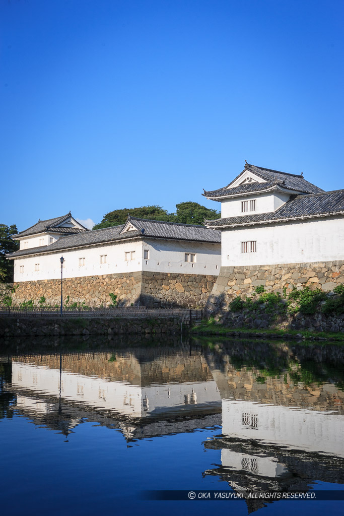 彦根城佐和口多聞櫓・夏