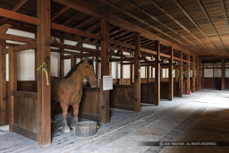 彦根城馬屋内部｜高解像度画像サイズ：5616 x 3744 pixels｜写真番号：1P3J1317｜撮影：Canon EOS-1Ds Mark III