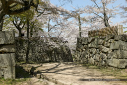 彦根城西の丸の枡形虎口｜高解像度画像サイズ：5479 x 3652 pixels｜写真番号：1P3J7211｜撮影：Canon EOS-1Ds Mark III