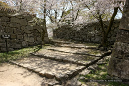 彦根城西の丸の枡形虎口｜高解像度画像サイズ：5616 x 3744 pixels｜写真番号：1P3J7213｜撮影：Canon EOS-1Ds Mark III