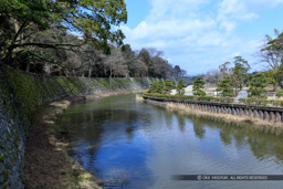 彦根城東側内堀｜高解像度画像サイズ：6720 x 4480 pixels｜写真番号：5D4A5654｜撮影：Canon EOS 5D Mark IV