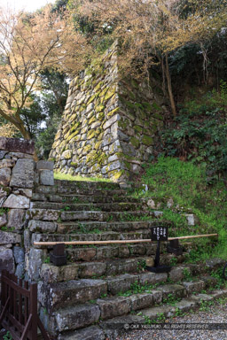 彦根城登り石垣と竪堀・鐘の丸｜高解像度画像サイズ：3538 x 5308 pixels｜写真番号：IMG_3941｜撮影：Canon EOS 6D