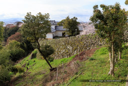 彦根城太鼓丸石垣と脱出路｜高解像度画像サイズ：5472 x 3648 pixels｜写真番号：IMG_3951｜撮影：Canon EOS 6D