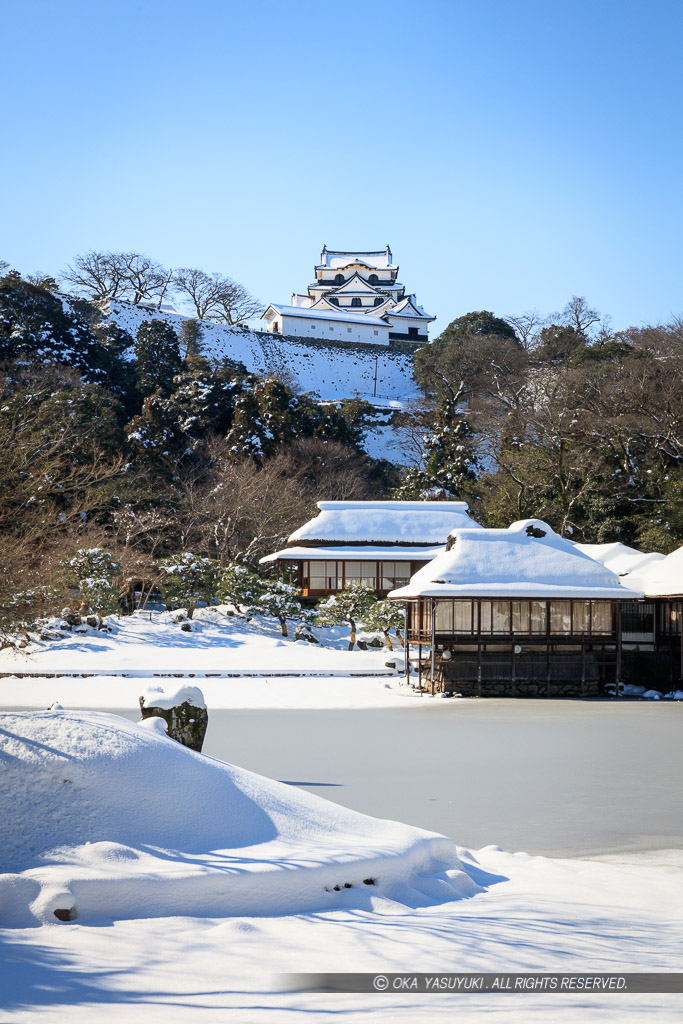 雪の玄宮園から彦根城天守