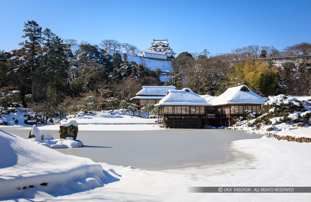 雪の玄宮園から彦根城天守