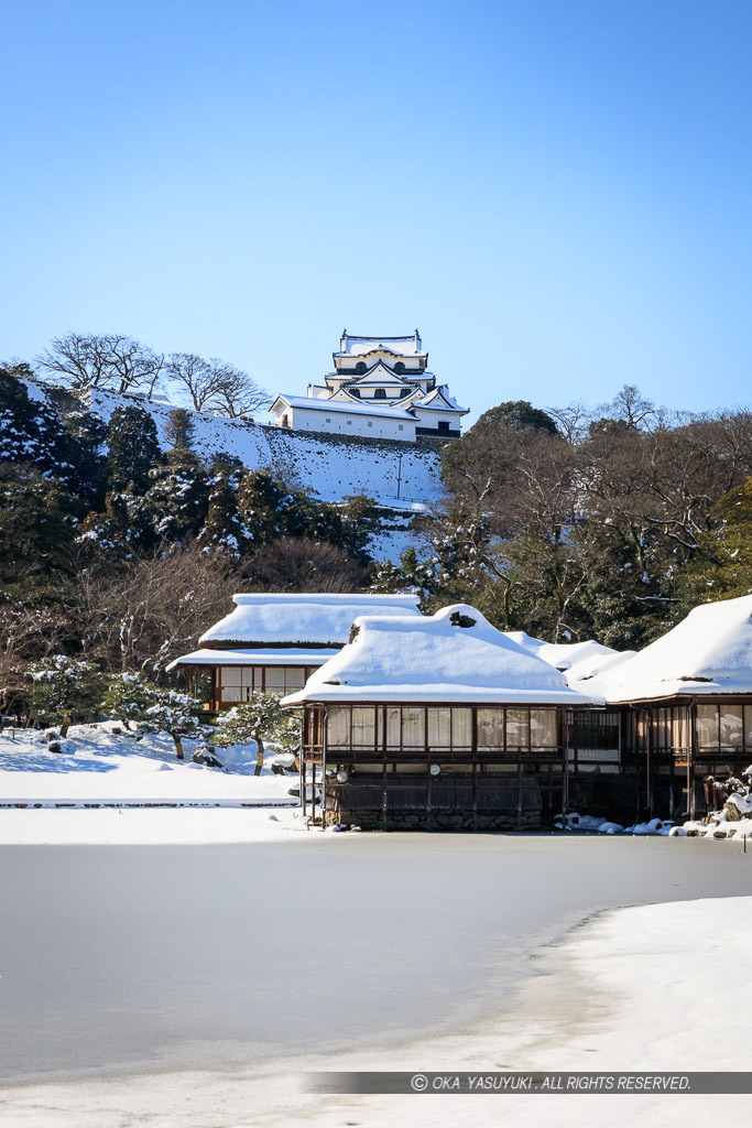 冬の玄宮園