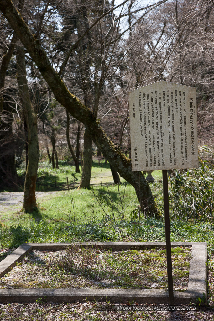 木村重成血染めのすすき・佐和山神社