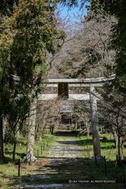 井伊神社鳥居｜高解像度画像サイズ：3615 x 5422 pixels｜写真番号：1P3J4402｜撮影：Canon EOS-1Ds Mark III