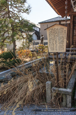 木村重成血染めのすすき・宗安寺｜高解像度画像サイズ：3590 x 5385 pixels｜写真番号：1P3J4435｜撮影：Canon EOS-1Ds Mark III