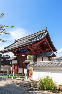 佐和山城移築城門・宗安寺赤門｜高解像度画像サイズ：3328 x 4992 pixels｜写真番号：VJ7Z6976｜撮影：Canon EOS-1Ds Mark II