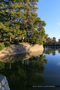 桑名城神戸櫓跡｜高解像度画像サイズ：5464 x 8192 pixels｜写真番号：344A6822｜撮影：Canon EOS R5