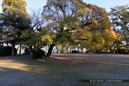 桑名城本丸跡｜高解像度画像サイズ：8192 x 5464 pixels｜写真番号：344A6823｜撮影：Canon EOS R5