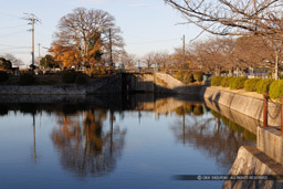 三の丸水堀｜高解像度画像サイズ：8192 x 5464 pixels｜写真番号：344A6857｜撮影：Canon EOS R5