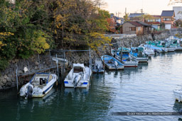 桑名城三ノ丸石垣と水堀｜高解像度画像サイズ：8192 x 5464 pixels｜写真番号：344A6899｜撮影：Canon EOS R5