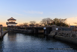 七里の渡付近から見る蟠龍櫓｜高解像度画像サイズ：7939 x 5295 pixels｜写真番号：344A6907｜撮影：Canon EOS R5