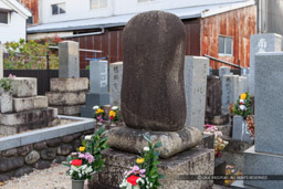 蛤墳（専正寺）｜高解像度画像サイズ：8192 x 5464 pixels｜写真番号：344A6923｜撮影：Canon EOS R5