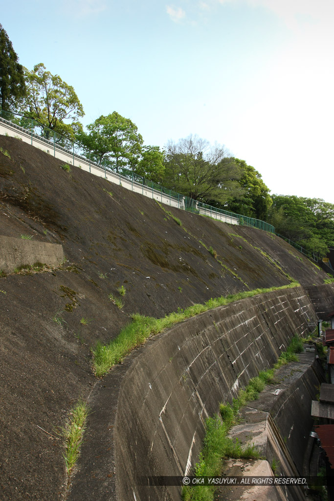 上の丸西側斜面・切岸