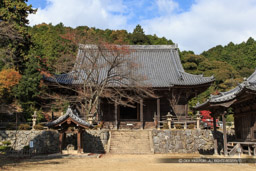 随願寺｜高解像度画像サイズ：5122 x 3414 pixels｜写真番号：1DXL8997｜撮影：Canon EOS-1D X