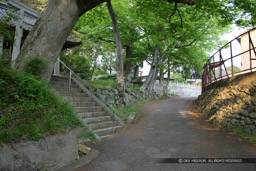 上の丸と西の丸を区切る堀切｜高解像度画像サイズ：5616 x 3744 pixels｜写真番号：1P3J6280｜撮影：Canon EOS-1Ds Mark III