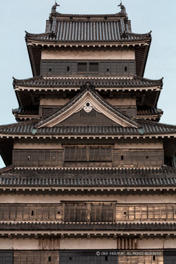 天守南面｜高解像度画像サイズ：5792 x 8688 pixels｜写真番号：5DSA4737｜撮影：Canon EOS 5DS