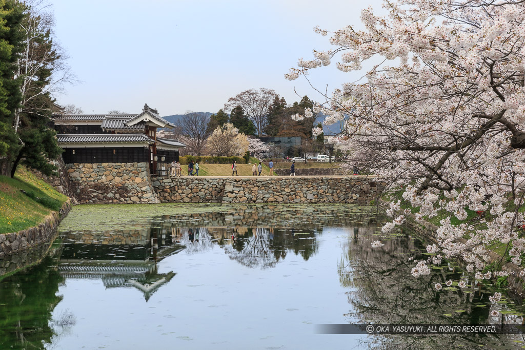 太鼓門土橋