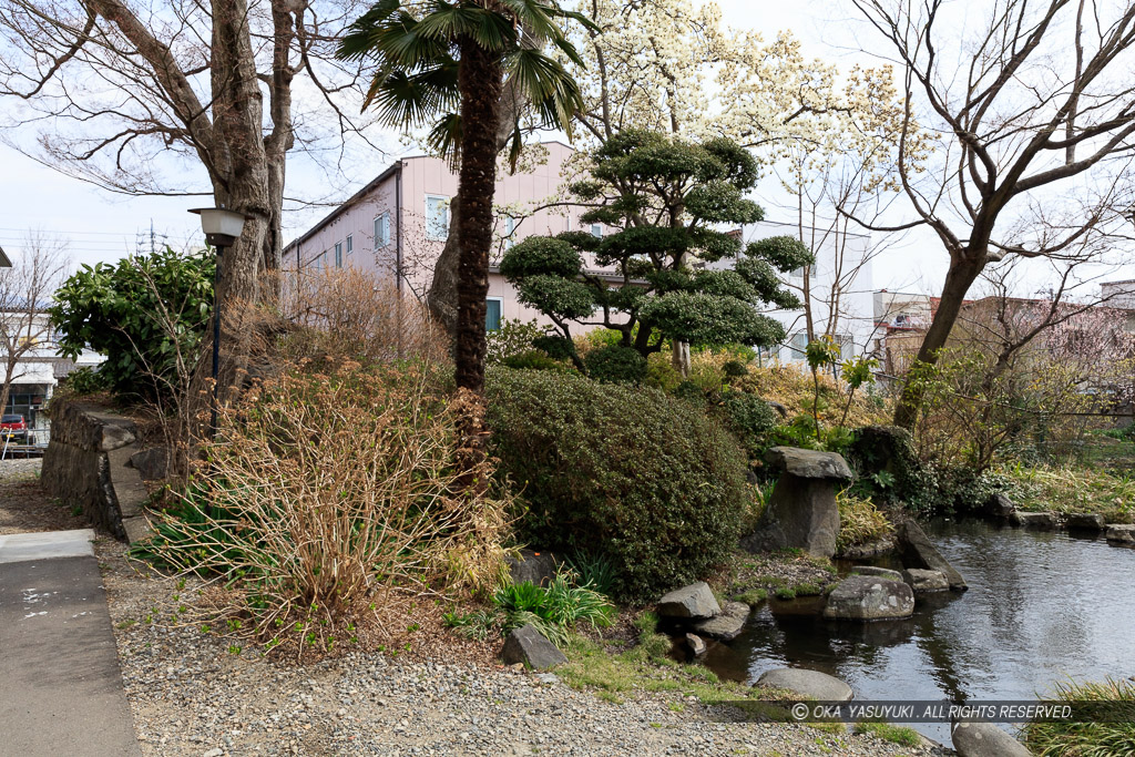 東総堀残存土塁