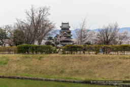 二の丸跡と天守｜高解像度画像サイズ：5184 x 3456 pixels｜写真番号：1DX_8414｜撮影：Canon EOS-1D X