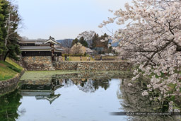 太鼓門土橋｜高解像度画像サイズ：5184 x 3456 pixels｜写真番号：1DX_8422｜撮影：Canon EOS-1D X