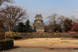 二の丸御殿跡から望む天守｜高解像度画像サイズ：8688 x 5792 pixels｜写真番号：5DSA4821｜撮影：Canon EOS 5DS