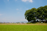 蛙ヶ鼻築提跡