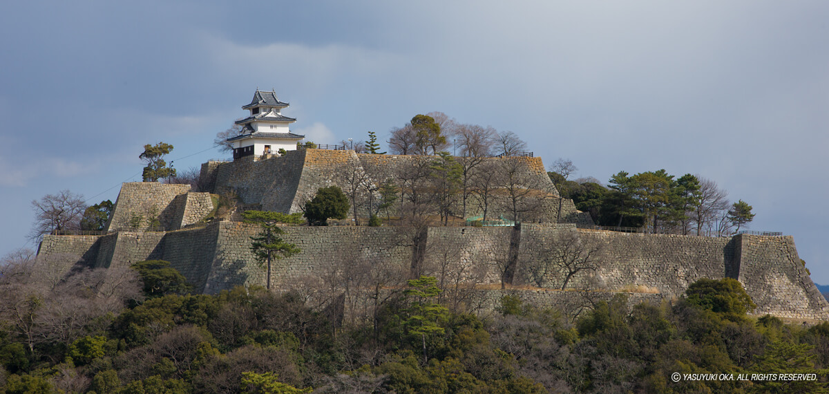 丸亀城の堂々たる平山城の風景